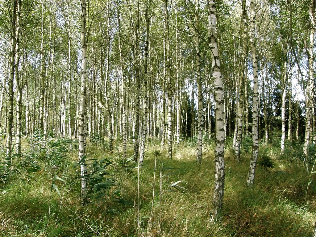 Agroturystyka "Bociek" Bełk Екстериор снимка